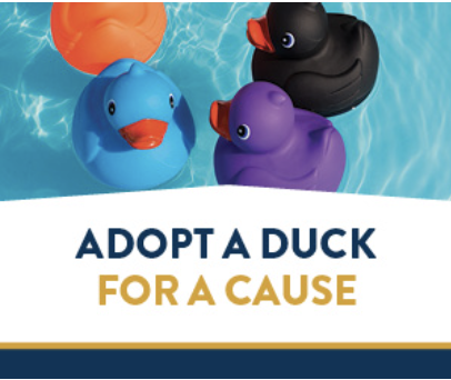 Adopt a duck